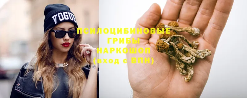 кракен ССЫЛКА  Абаза  Псилоцибиновые грибы Magic Shrooms 